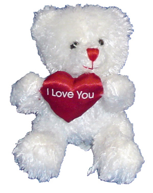 Teddy Bear Plush